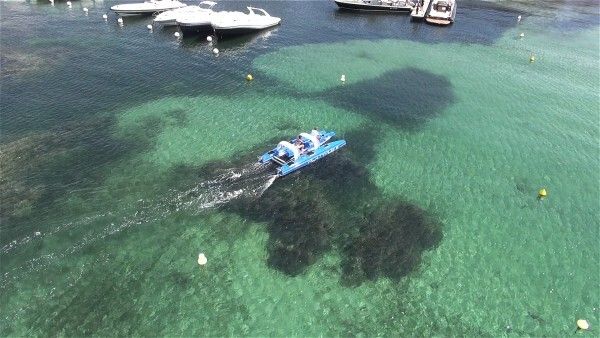 Das elektrisch betriebene Freizeit-Boot Platypus: Es verbindet die zwei Wassersportarten Bootfahren und Tauchen. (Platypus)