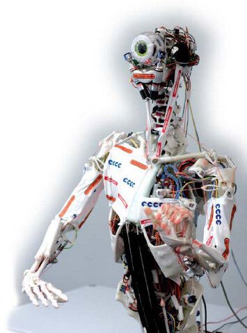 ECCEROBOT wurde detailliert dem Menschen nachempfunden, er verfügt über Knochen, Muskeln und Sehnen. (robotsontour.com)