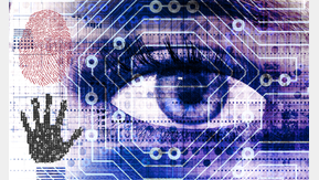 Cryptovision (Canva)