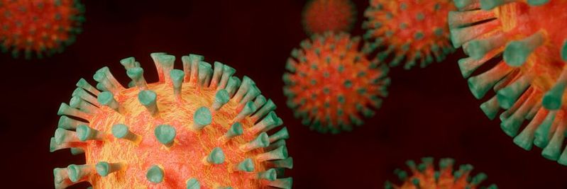 Informationen über die Evolution des Coronavirus können helfen, gezielt Impfstoffe zu entwickeln. (Symbolbild)(Bild:  frei lizenziert /  Pixabay)