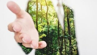 nachhaltigkeit-im-unternehmen-mann-im-gr-25c3-25bcnen-anzug-streckt-hand-aus- (Quelle: Shutterstock - Sasin Paraksa)