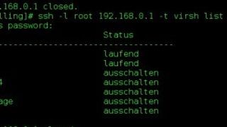 Übersicht virtuelle Maschinen mit virsh (Thomas Drilling)
