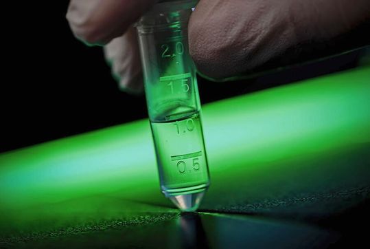 In einem Milliliter Flüssigkeit befindet sich das amplifizierte Abstrichmaterial von bis zu 10.000 Corona-Tests, die mit einem Sequenzierungsgerät analysiert werden. In einem Milliliter Flüssigkeit befindet sich das amplifizierte Abstrichmaterial von bis zu 10.000 Corona-Tests, die mit einem Sequenzierungsgerät analysiert werden.
