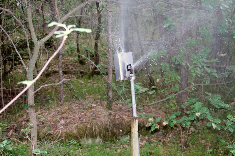 Some of the plots are irrigated between April and October. (Reinhard Lässig)