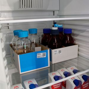 Sicher verstaut und alles im Blick(Bild:  Dominik Stephan)