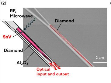 Schematische Darstellung eines Teils der photonischen integrierten Schaltung aus Diamant mit SnV-Zentren und Wellenleitern aus Aluminiumoxid.(Bild:  Fujitsu)