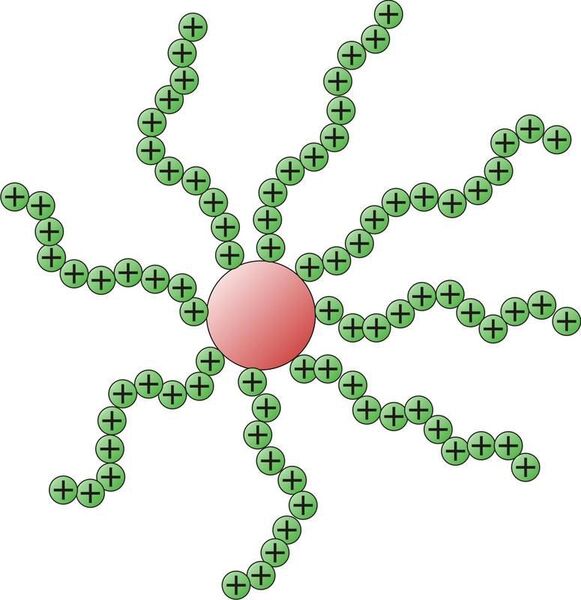 Abb. 1: Grundstruktur eines sternförmigen PDMAEMA-Moleküls. Von einem Zentrum gehen die angehängten, positiv geladenen Polymerketten (