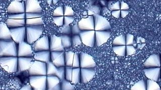 Die mikroskopische Struktur teilkristalliner Kunststoffe ist geprägt von amorphen Bereichen, die keine Ordnung haben und kristallinen Arealen (die kreisförmigen hier). Forscher haben nun mehr Wissen darüber, wovon der Aufbau und damit die Eigenschaften solcher Polymere abhängen. (Bild: P. Sorgner)