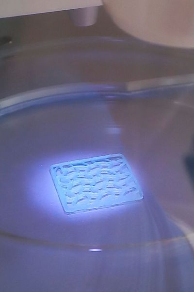 UV-Vernetzung eines gedruckten Hydrogels aus methacrylierter Gelatine (Bild: Fraunhofer IGB)