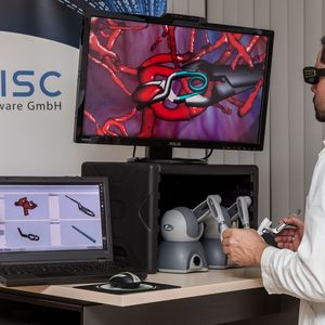 (RISC Software GmbH)