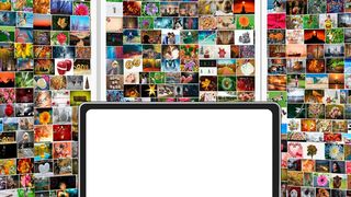 Fotos entwickeln einen großen Speicherhunger – doch es gibt Abhilfe. (gemeinfrei)