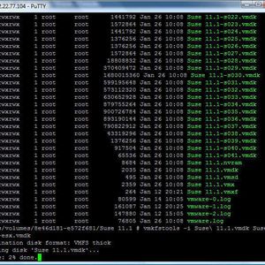 Das Importieren einer VMware-Server-2.0-VM mit Hilfe der Kommandozeile des ESXi-Systems.