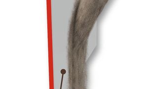 Die Slide-Platte löst das Problem der Anhaftungen von Schüttgütern. (Bild: Pucest)