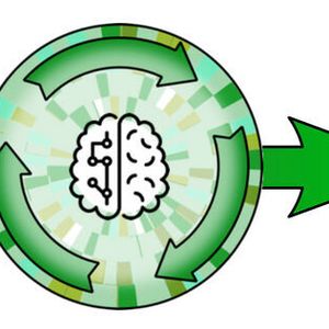 Im Projekt DIMOP soll die Kreislauffähigkeit von Kunststoff-Produkten auf einfache Weise ermittelt und verbessert werden, zum Beispiel indem die Anzahl der Materialkomponenten reduziert wird.