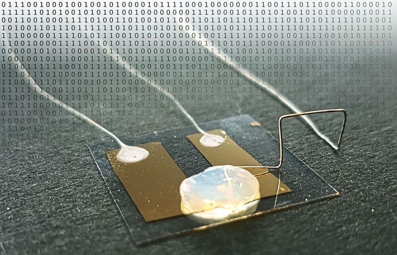 Die Grenze der Miniaturisierung erreicht der Einzelatom-Transistor, der in einem Gel-Elektrolyten funktioniert. (Arbeitsgruppe Professor Thomas Schimmel/KIT)