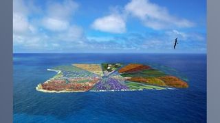 September 2010 (Bild: )