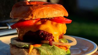 Unser Gehirn steuert unser Essverhalten (Symbolbild). (Bild: frei lizenziert)