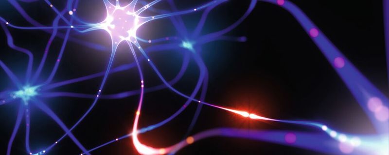 Die Signalübertragung zwischen den Zellen ist essenziell für ein gesundes Zusammenspiel. Eine Vielzahl neurodegenerativer Erkrankungen, wie die Alzheimer-Krankheit, Herz-Kreislauf-Erkrankungen oder Diabetes, werden mit Störungen des intrazellulären Calcium-Spiegels in Verbindung gebracht. Die Calcium-Pumpen stellen somit mögliche Angriffspunkte für neue Medikamente dar. (Symbolbild)  (Bild: ©  ktsdesign - stock.adobe.com)