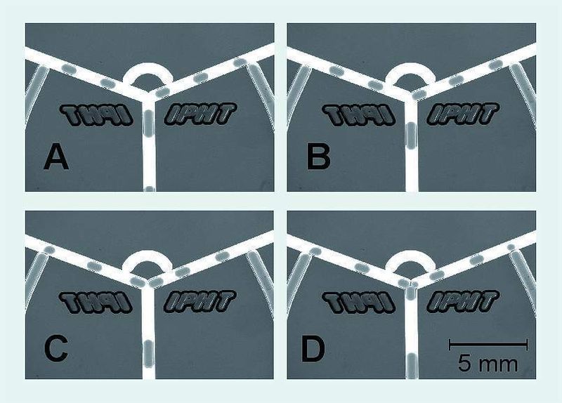 4	 Messbilder zur selbstsynchronisierten 1:1 Fusion von Segmenten. A) Der erste Tropfen nähert sich der Fusionsstelle, wird angehalten (B), nachgefördertes Mineralöl wird durch den Bypass umgeleitet bis der Fusionspartner eintrifft (C). Danach erfolgt die Fusion und das Austreiben des gebildeten Tropfens aus der Funktionsstruktur. (Archiv: Vogel Business Media)