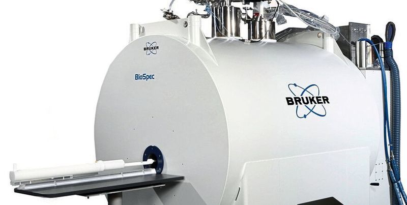 In 2021 there should be the first ever 18 Tesla ultra-high field magnetic resonance imaging (MRI) system Biospec installed at the Champalimaud Foundation in Portgual. (Bruker)