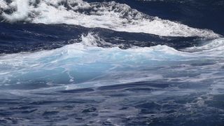 Abb. 1: Die Ozeane werden im Zuge des Klimawandels nicht nur wärmer, sie versauern auch zunehmend durch sinkende pH-Werte. (Bild: Frank Rödel / Alfred-Wegener-Institut)