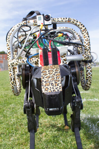 Die Frontansicht des cheetah bot (Jose-Luis Olivares/MIT)
