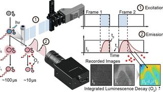 Der Aufbau der neuen Methode zur Messung der Lebensdauer von Lumineszenzfarbstoffen, der auf der Frame-Straddling-Technik basiert und eine einfache Umsetzung ermöglicht. (Bild: Soeren Ahmerkamp/Max-Planck-Institut für Marine Mikrobiologie)