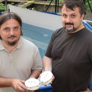 Thomas Schmickl und Ronald Thenius (v.l.) von der Universität Graz mit Roboter Lily.