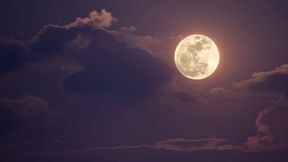 Mit dem Modell Kimi3 will das chinesische Startup Moonshot AI zu den amerikanischen Spitzenmodellen aufgeschlossen haben. (Bild: © aopsan - stock.adobe.com)