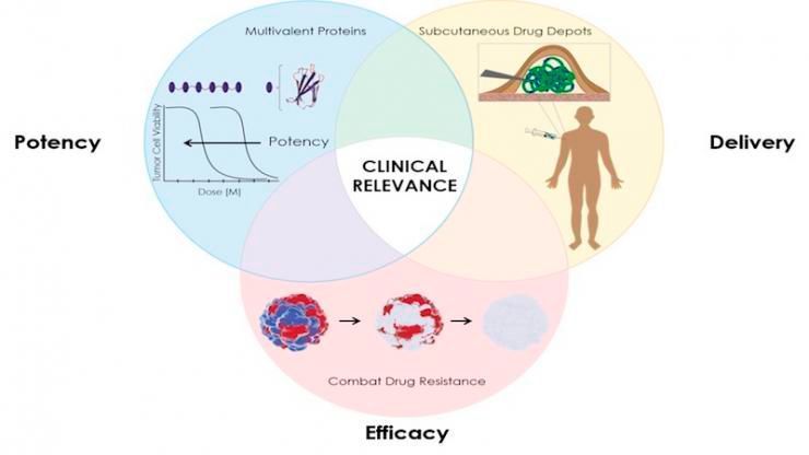 Recombinant proteins may become more important as anti-cancer biologic drugs if they can be delivered in selected combinations by a slow release gel. (Mandana Manzari)