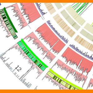 (Femke Reijnen, ERIBA / Universität des Saarlandes)