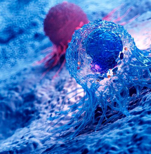 Researchers have now identified a previously unknown weak spot in prostate cancer cells. Researchers have now identified a previously unknown weak spot in prostate cancer cells.