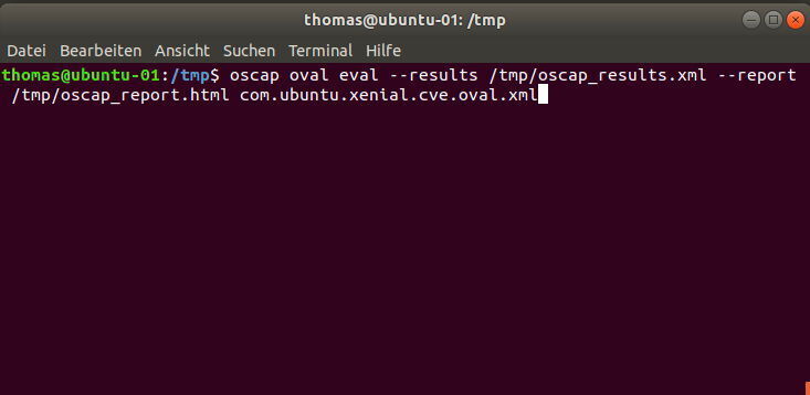 Sobald OpenScap und die notwendigen OVAL-Definitionen bereitstehen, kann ein lokaler Scanvorgang gestartet werden. (Joos)