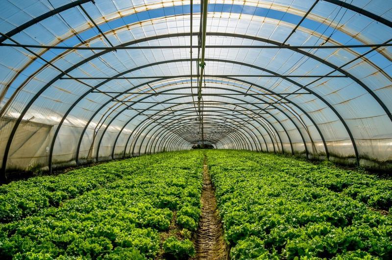 In the crop nutrition market, Arr Maz offers innovative additives that enhance the efficiency and quality of fertilizer production and distribution while promoting responsible farming. (Deposit Photos )