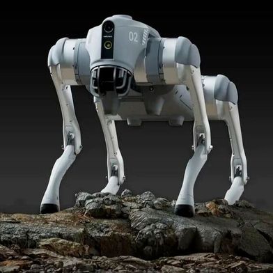 Der Unitree Go2 lässt sich in der „geringsten“ Konfiguration ab 1.600 US-Dollar bestellen. (Bild: Unitree)