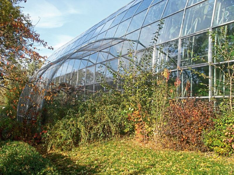 Fast unsichtbare Begrenzungen bieten den Menschen sicheren Schutz und ungehinderte Einblicke zugleich. (Bild: Carl Stahl ARC)