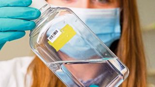 Beispiel einer Trinkwasseranalyse (Bild: Fraunhofer IGB)