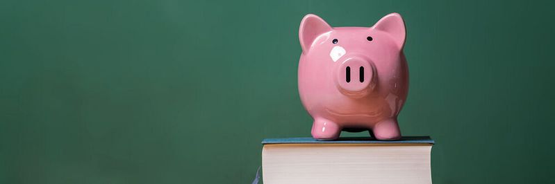 Zwar wurden bereits zahlreiche Gelder für brandenburger Schulen bewilligt, doch die Fördermittel werden noch zu selten abgerufen(©  Tierney – stock.adobe.com)