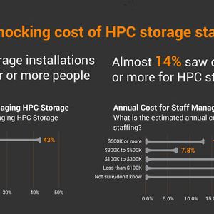 Horror Nummer eins: Schockierende Personalkosten.(Bild:  Panasas)