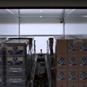 Bis zu 14 Paletten werden automatisch geladen (Bild:  Kamag)