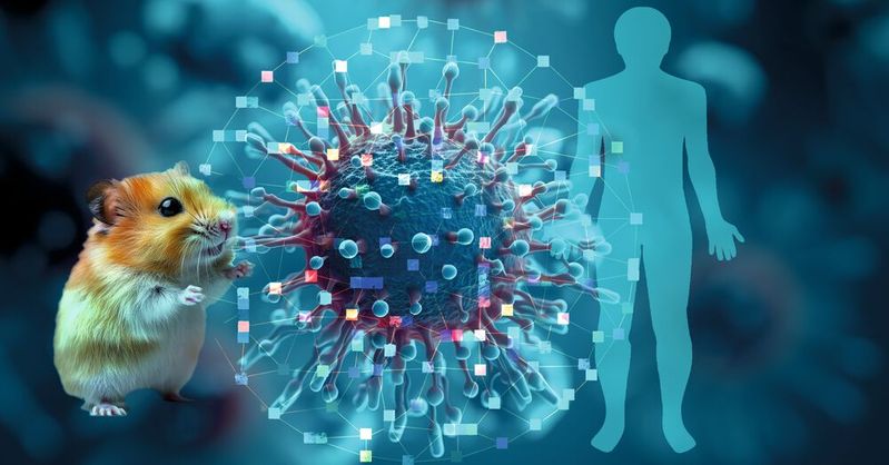Abb. 1: Eine aktuelle Forschungsarbeit hat mithilfe von KI einen Ansatz entwickelt, um die molekularen Mechanismen von COVID-19 bei Mensch und Hamster detailliert zu vergleichen und ähnliche COVID-19-Schweregrade zwischen Tiermodell und Mensch zuzuordnen. (Symbolbild)(Bild:  ©Shades3, ©The Laundry Room/StocksY, ©mochalfin - stock.adobe.com)