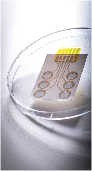 Leitfähige Polymere gedruckt auf handelsübliches Abziehbild-Papier ergeben die Tattoo-Elektroden.  (© Lunghammer - TU Graz)