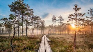 Viele europäische Länder können aus den Best Practices des Nordens lernen, doch wie gut lassen sie sich auf deutsche Verhältnisse übertragen? (Bild: © Jani Riekkinen – stock.adobe.com)