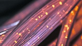 Aus der deutschen Politik kamen Forderungen, Technik chinesischer Anbieter komplett zu verbieten, also auch 5G-Antennen entfernen zu lassen. Antennen gelten allerdings als eher unkritischer Teil des Netzes, weil sie nur zum Funken genutzt werden und nicht zur Datenverarbeitung. (Bild: frei lizenziert)