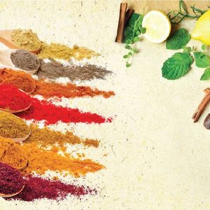 The Indian F&B industry has various opportunities for growth owing to the country’s diverse taste and evolving population