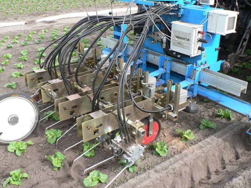 Die Landwirtschaftsroboter von F. Poulsen kümmern sich um das Unkraut auf den Feldern – ganz ohne Herbiziden. (F. Poulsen)