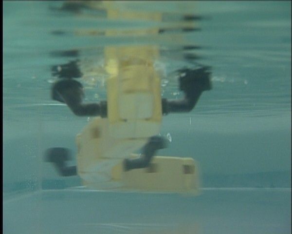 Der Robo-Salamander fühlt sich auch unter Wasser zuhause (Bild: Kostas Karakasiliotis, Biorobotics Laboratory, EPFL)