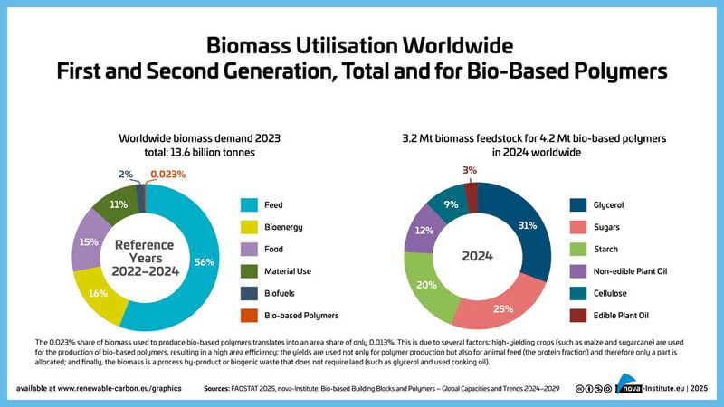 Biomasse-Nutzung weltweit  (Bild: Nova-Institut)