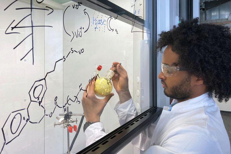 Brennstoffzellen brauchen das seltene Edelmetall Platin. Einem Forscherteam ist es jetzt gelungen, aus einem Enzym einen platinfreien Biokatalysator für Brennstoffzellen und Wasser-Elektrolyse herzustellen, der industriell einsetzbar ist. Dawit T. Filmon (Bild), Mitarbeiter von Prof. Nicolas Plumere, hält einen Ausgangsstoff für die Seitenketten des schützenden Polymers in seinen Händen.
 (Jan Winter / TUM)
