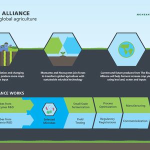 How the Bioag Alliance works